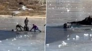 Arunachal Pradesh: 2 Kerala Tourists Drown in Tawang's Sela Lake While Trying To Rescue Companion, Disturbing Video Surfaces