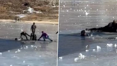 Arunachal Pradesh: 2 Kerala Tourists Drown in Tawang's Sela Lake While Trying To Rescue Companion, Disturbing Video Surfaces