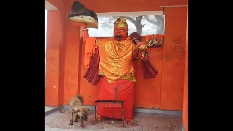 Bijnor: Viral Video of Stray Dog Circling Hanuman Idol in UP Sparks 'Miracle' Claims As Devotees Rush To Seek Blessings of 'Dog Maharaj'