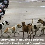Stray Dogs in Housing Societies: Rules For Feeders and Committee