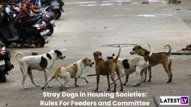Stray Dogs in Housing Societies: Rules For Feeders and Committee
