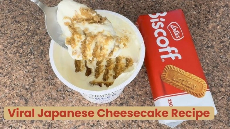 Viral 'Japanese Biscoff Yogurt Cheesecake' Recipe