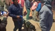 Mystery Blast in Jharkhand: Explosion in Hazaribagh Claims 3 Lives, Cause Under Investigation (Watch Video)