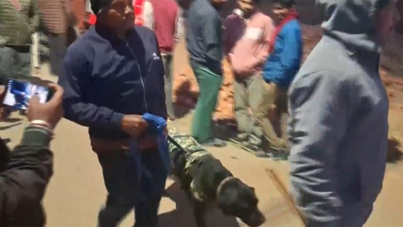 Mystery Blast in Jharkhand: Explosion in Hazaribagh Claims 3 Lives, Cause Under Investigation (Watch Video)