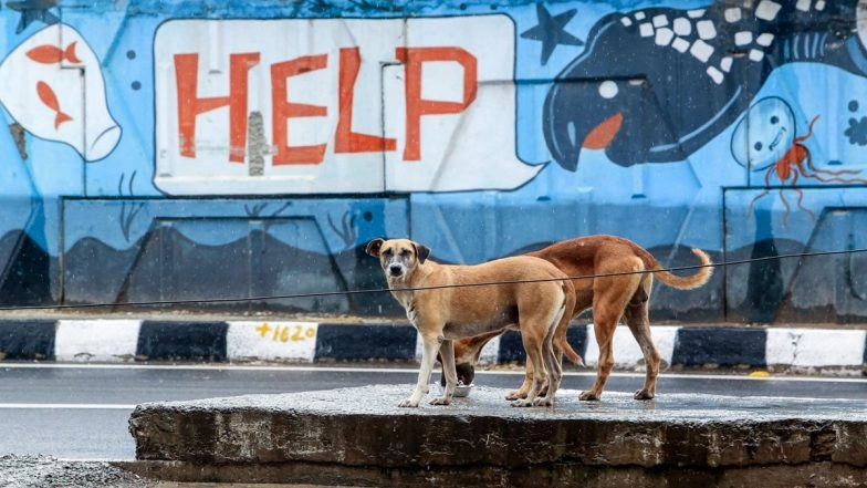 Mass Dog Killing in Telangana: Nearly 100 Stray Dogs Allegedly Poisoned in Mancherial’s Kishtapur Village; FIR Filed Against Sarpanch