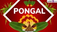 Pongal 2026: Tamil Nadu Gears Up for Festival As Four-Day Celebration of Harvest and Gratitude To Begin From January 13 Pongal 2026: Tamil Nadu Gears Up for Festival As Four-Day Celebration of Harvest and Gratitude To Begin From January 13
