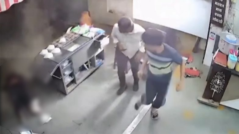 Indore: Woman Loses Balance, Falls From Balcony While Drying Clothes in Green Park Colony, Video Surfaces