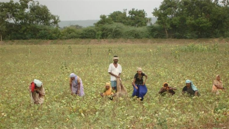 PM KISAN 22nd Instalment Update: Who Needs a Farmer ID to Receive INR 2,000?