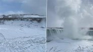 Niagara Falls Partially Freezes: Stunning Videos and Photos Show Arctic Blast Turning Niagara Falls Into Icy Spectacle