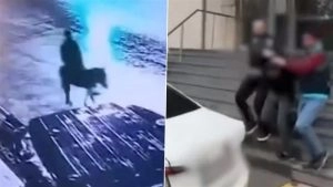 social-viral-Turkey Robbery Video: Man Breaks Into Jewellery Shop With Forklift, Flees on Donkey After Heist; Arrested
