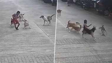 Pune Dog Attack: Minor Narrowly Escapes After Being Chased Inside Housing Society in Maharashtra&rsquo;s Kirkatwadi (Watch Video)