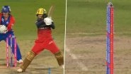 Hitwicket or Stumped? Was Radha Yadav Out in Last Over During RCB-W vs DC-W WPL 2026 Final
