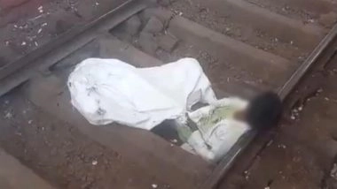 Mumbai Local Train News: ‘Drunk’ Man Sleeps on Railway Tracks at CSMT Station, Services Briefly Disrupted (Watch Video)