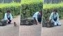 Punch the Monkey Viral Video: Baby Macaque Steps out of Cage, Shares Heartwarming Bond With Ichikawa Zoo Staff (Watch Video)