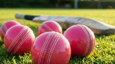 Cricket Umpire Dies Following Tragic Bee Attack in Kanpur During Local Match