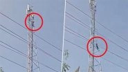Kannauj Youth Falls to Death After Climbing Mobile Tower to Demand Marriage in UP Village; Video Surfaces