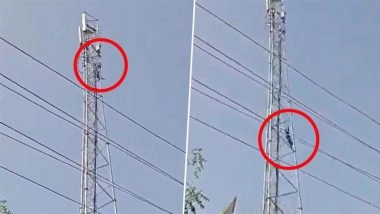 Kannauj Youth Falls to Death After Climbing Mobile Tower to Demand Marriage in UP Village; Video Surfaces