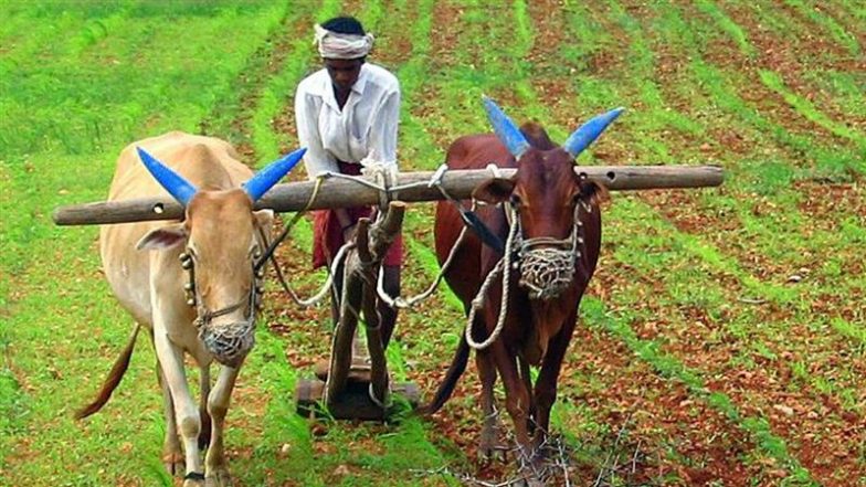 PM Kisan 22nd Installment Date: Know Steps To Complete PM Kisan E-KYC Online at pmkisan.gov.in As Farmers Await Latest Kist of INR 2,000