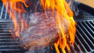 Let Them Eat Steak? Experts Roast Inverted US Food Pyramid