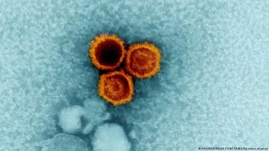 How the Epstein-Barr Virus Triggers MS in Some People