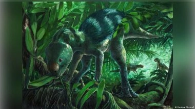 New Dinosaur Fossils Could Provide Evolutionary Clues: Study