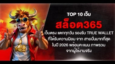 TOP 10 เว็บ สล็อต365 เว็บตรง แตกทุกวัน รองรับ True Wallet ที่ได้รับความนิยม จาก สายปั่นมากที่สุด ในปี 2026 พร้อมคะแนน ภาพรวม จากผู้ใช้งานจริง
