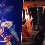 Road Accident in Rajasthan: Swift Desire-Trailer Head-On Collision on NH-21 in Dausa’s Sikandra Area Kills 6 (Watch Videos)