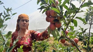 India News | Himachal's Apple Growers Plan Mass Agitation Against Zero-tariff US Apple Imports, Seek State Support