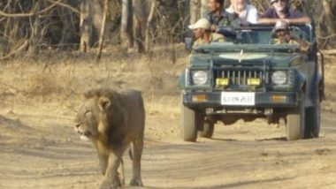 India News | Gujarat Among Top 3 States Visited by Foreign Tourists Since 2024