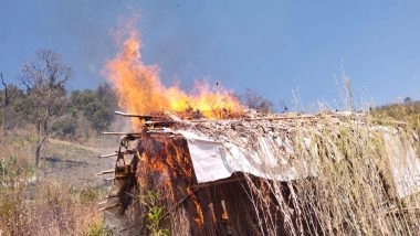 India News | Manipur: 83 Acres of Illegal Poppy Plantation Destroyed in Two Separate Joint Operations; One Arrested