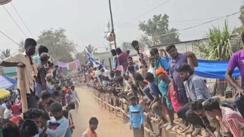 India News | Tamil Nadu: Over 350 Bulls Take Part in 6th Annual Bull-taming Festival at Puthukovil