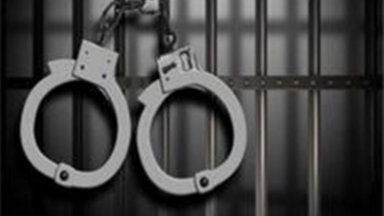 India News | Journalist Ravi Nair Convicted in Defamation Case Filed by Adani Enterprises, Gets One-year Jail Term