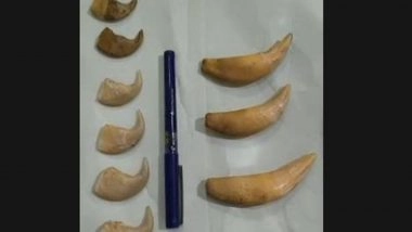 India News | DRI Hyderabad Seizes Tiger Nails, Canine Teeth in Telangana, Two Traffickers Detained