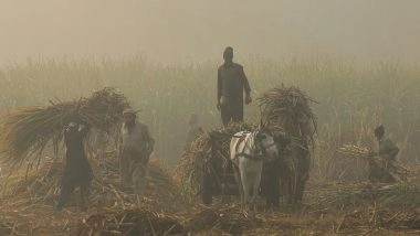 World News | Policy Failures Deepen Chaos in Pakistan's Crop Planning