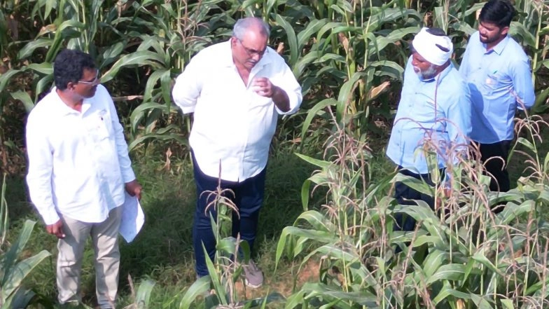 Business News | ICAR-IIMR and Gourmet Popcornica Collaboration Paves the Way for an Aatmanirbhar Popcorn Maize Ecosystem