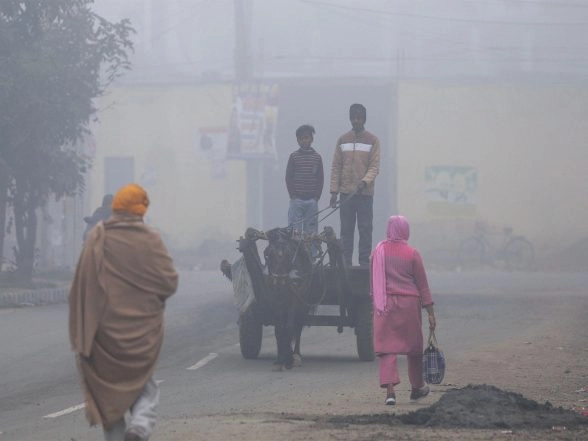 India News | Punjab, Haryana Record Rise in Minimum Temperatures; Firozpur Coldest at 8.2°C, Mahendragarh at 8.9°C: IMD