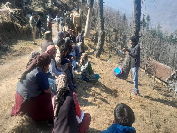 India News | Himachal Pradesh: Apple Growers Oppose Eviction Drive in Jubbal; Action Halted After Protest