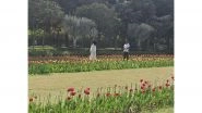 World News | Chinese Envoy to India Hails Tulip Festival in New Delhi