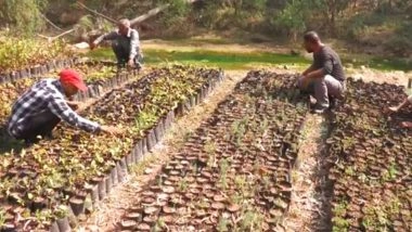 India News | Green Udhampur Initiative: J-K Forest Department Launches Massive Reforestation Drive