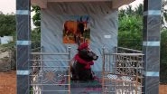 India News | Tamil Nadu: Trichy Family Builds Memorial for Prize-winning Jallikattu Bull 'Senkuricki Sevalai'