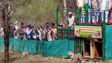 India News | MP: 9 Cheetahs from Botswana Released at Kuno National Park in Sheopur, India's Cheetah Population Rises to 48