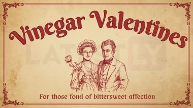 Anti-Valentine's Day 2026 Wishes vs Vinegar Valentine Cards