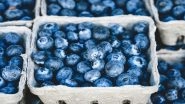 Blueberry Recall in US: What Is Listeria Contamination and Who Is at Risk?