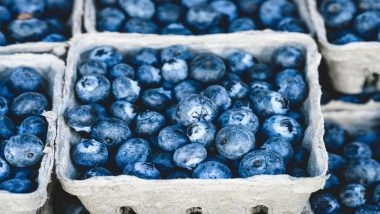Blueberry Recall in US: What Is Listeria Contamination and Who Is at Risk?