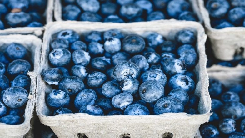 Blueberry Recall in US: What Is Listeria Contamination and Who Is at Risk?