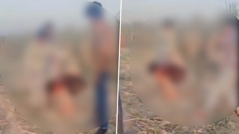 Hapur Horror: Youth Abducted, Made To Stand Like Rooster and Tortured With Bricks and Sticks Over Mobile Theft Suspicion in UP; Disturbing Video Surfaces
