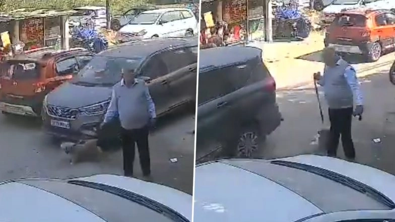 A pet dog was killed in a hit-and-run on Kanpur’s Mainawati Marg on Monday, February 16. CCTV footage shows a speeding Maruti Suzuki Ertiga striking the leashed animal while it was being walked by an elderly man. The driver fled the scene. Nawabganj police have filed a complaint and are currently tracing the vehicle to identify the suspect. 📰 Kanpur Hit-and-Run: Pet Dog Struck and Killed by Speeding Car in Nawabganj, Disturbing Video Surfaces.
