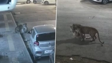 Leopard Caught on Camera in Mumbai: Viral Video Shows Big Cat Hunting Stray Dog Outside Residential Society in Mulund