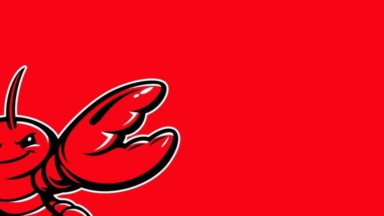 Bug do OpenClaw: o meta diretor Summer Yue diz que o agente de IA excluiu toda a caixa de entrada no ‘Speedrun’ autônomo após ignorar os comandos