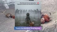 'Punch the Monkey' Viral Memes
